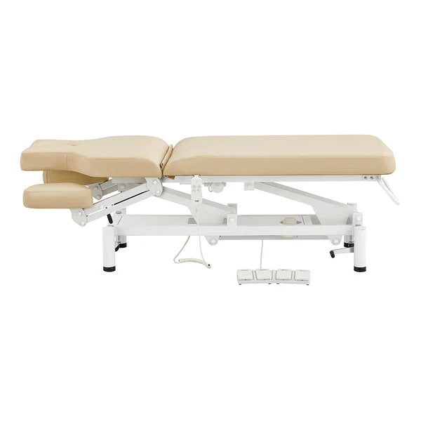VitalEarth 2-Motors Treatment Table and Wellness Therapy Bed