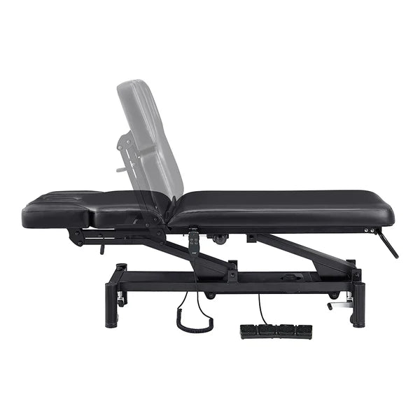 VitalEarth 2-Motors Treatment Table and Wellness Therapy Bed