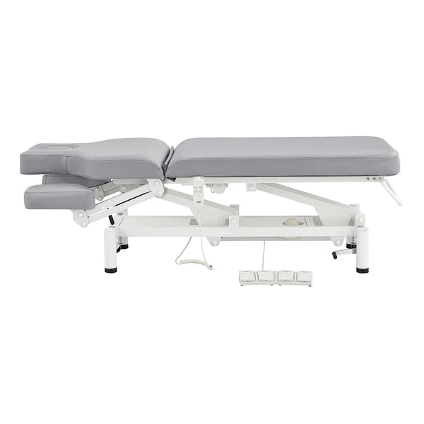 VitalEarth 2-Motors Treatment Table and Wellness Therapy Bed