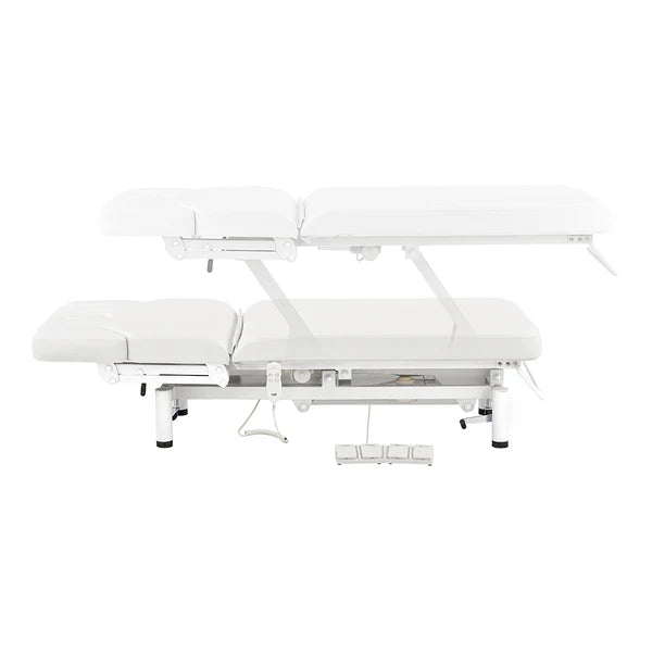 VitalEarth 2-Motors Treatment Table and Wellness Therapy Bed