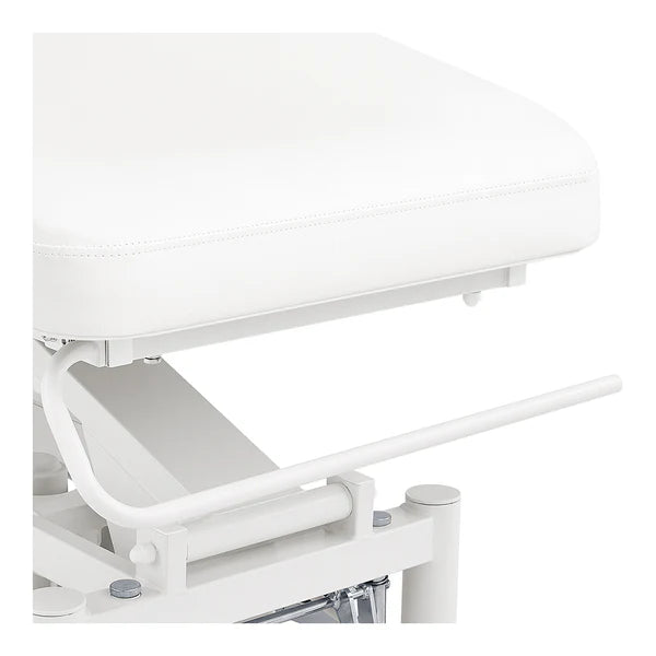 VitalEarth 2-Motors Treatment Table and Wellness Therapy Bed