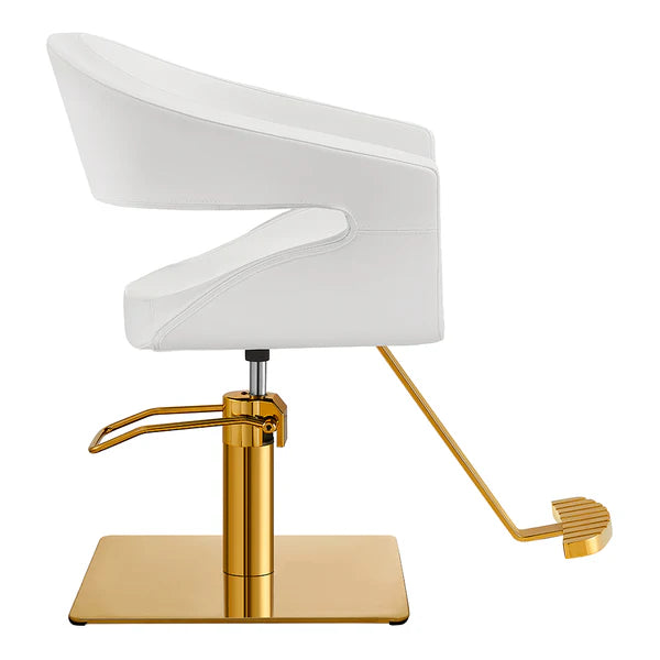 Gama Beauty Salon Chairs