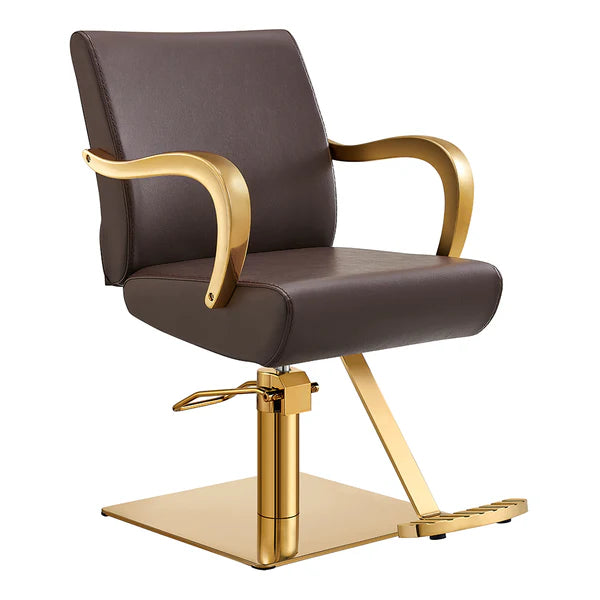 Meteor Gold Salon Styling Chair