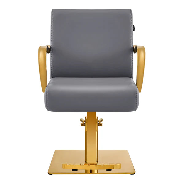 Meteor Gold Salon Styling Chair