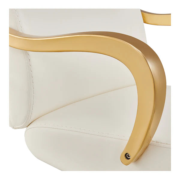 Meteor Gold Salon Styling Chair