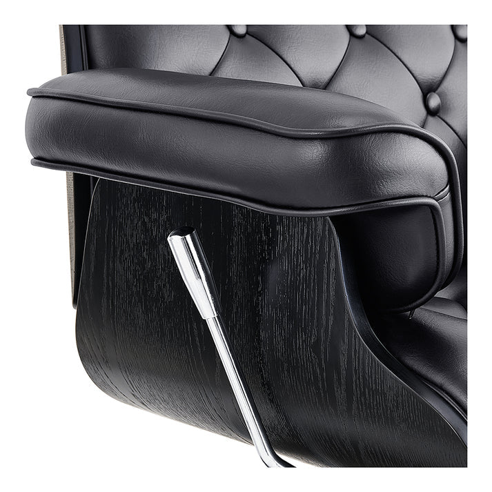 Planet All Purpose Salon Chair