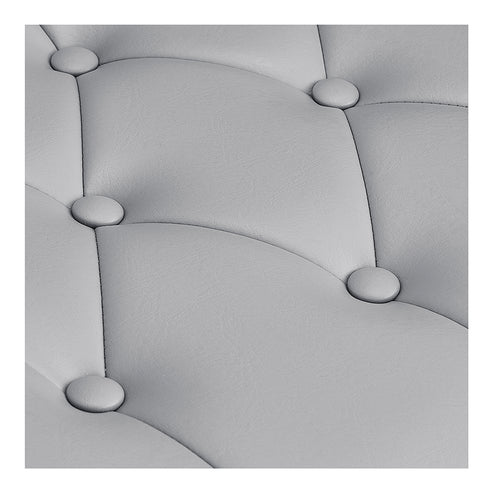 Planet All Purpose Salon Chair