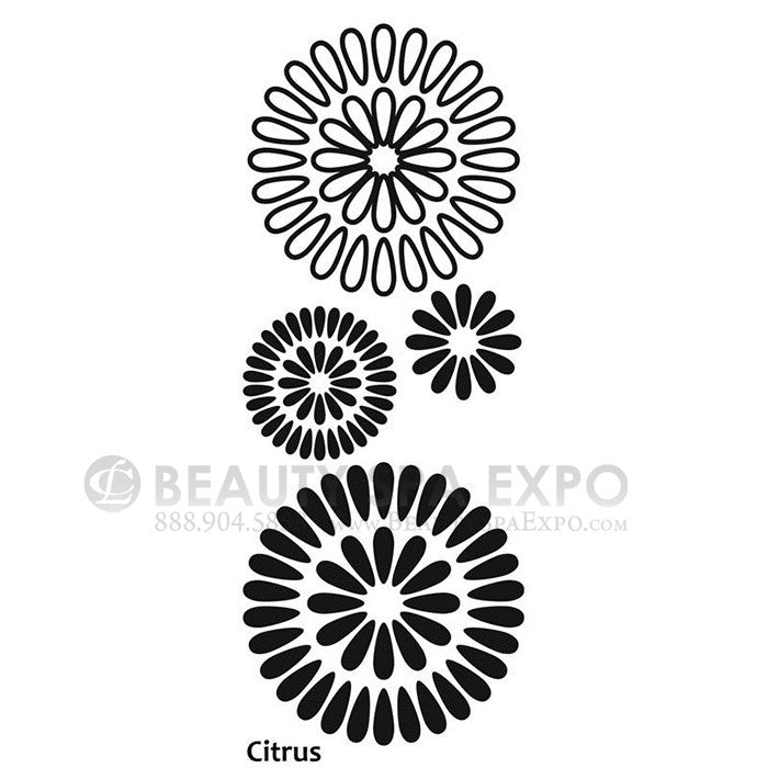 Vinyl Salon Decal - Citrus